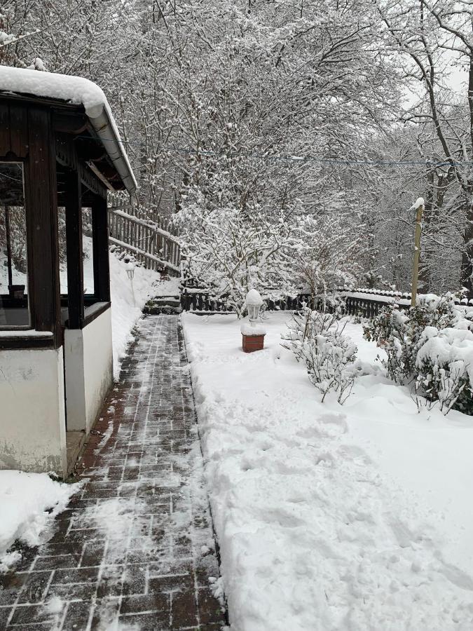 Ferienhaus Andrea Am Bodetal Treseburg Zewnętrze zdjęcie