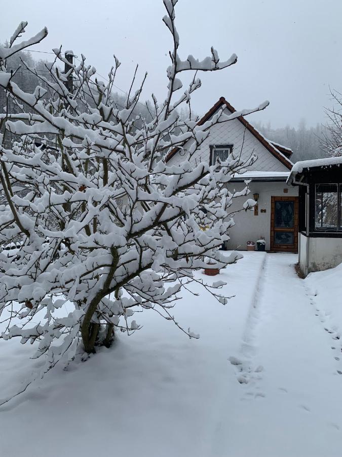 Ferienhaus Andrea Am Bodetal Treseburg Zewnętrze zdjęcie