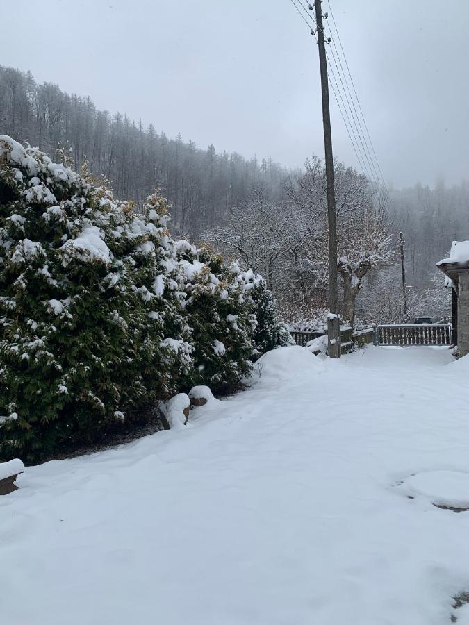 Ferienhaus Andrea Am Bodetal Treseburg Zewnętrze zdjęcie