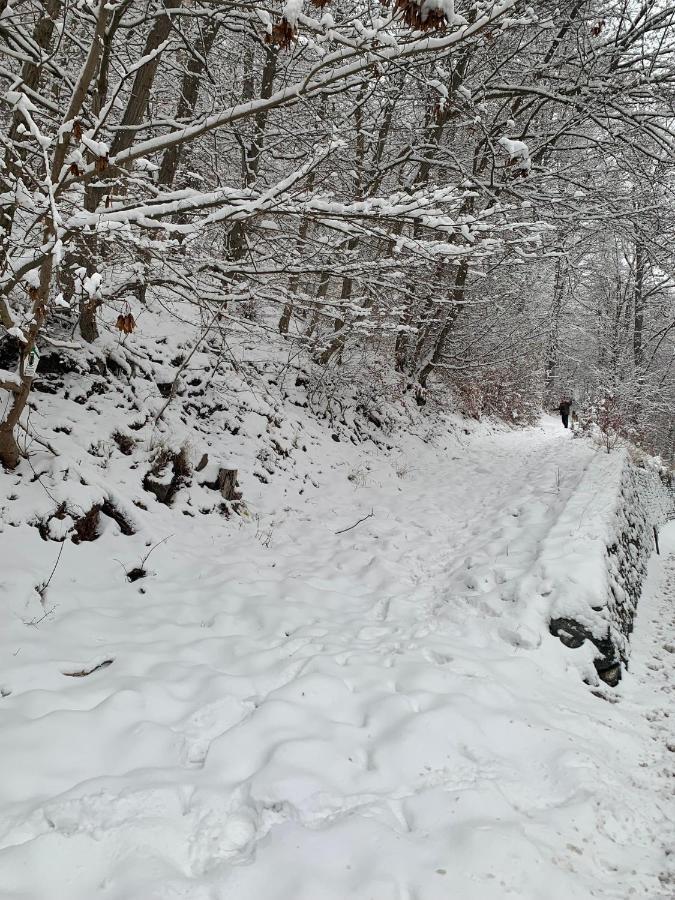 Ferienhaus Andrea Am Bodetal Treseburg Zewnętrze zdjęcie
